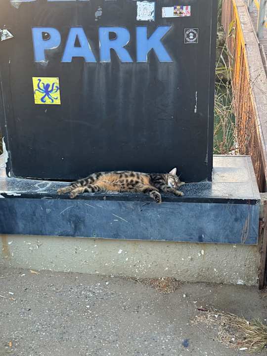 Außenansicht Aydinbey Kings Palace & Spa