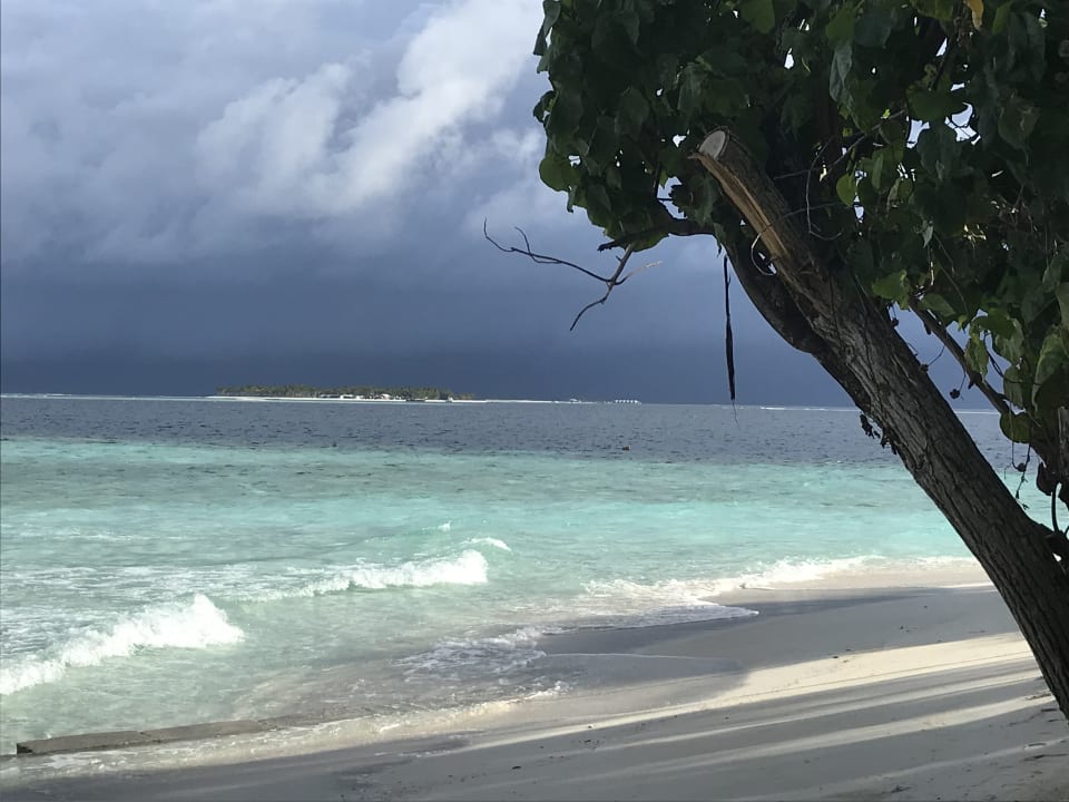 Strand Eri Maldives