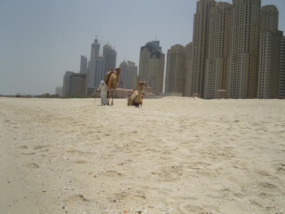 Strand Hilton Dubai Jumeirah