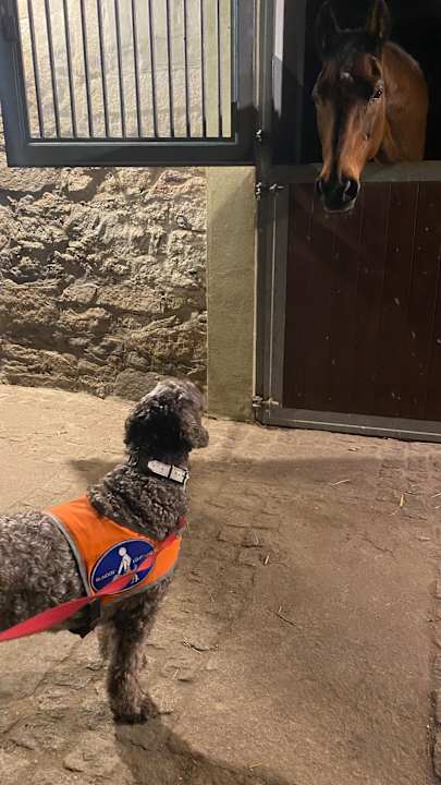 Gartenanlage Bauernhof Strehlaer