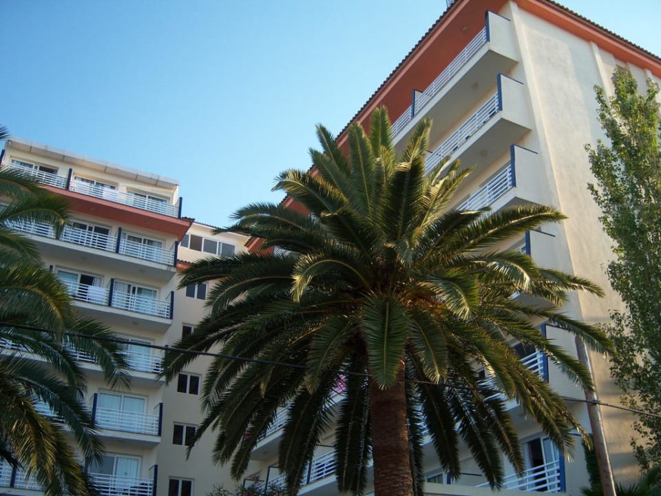 Vorderseite Smy Portocolom