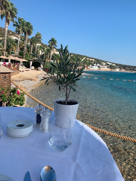 Gastro Casa Nonna Bodrum - Adult Only