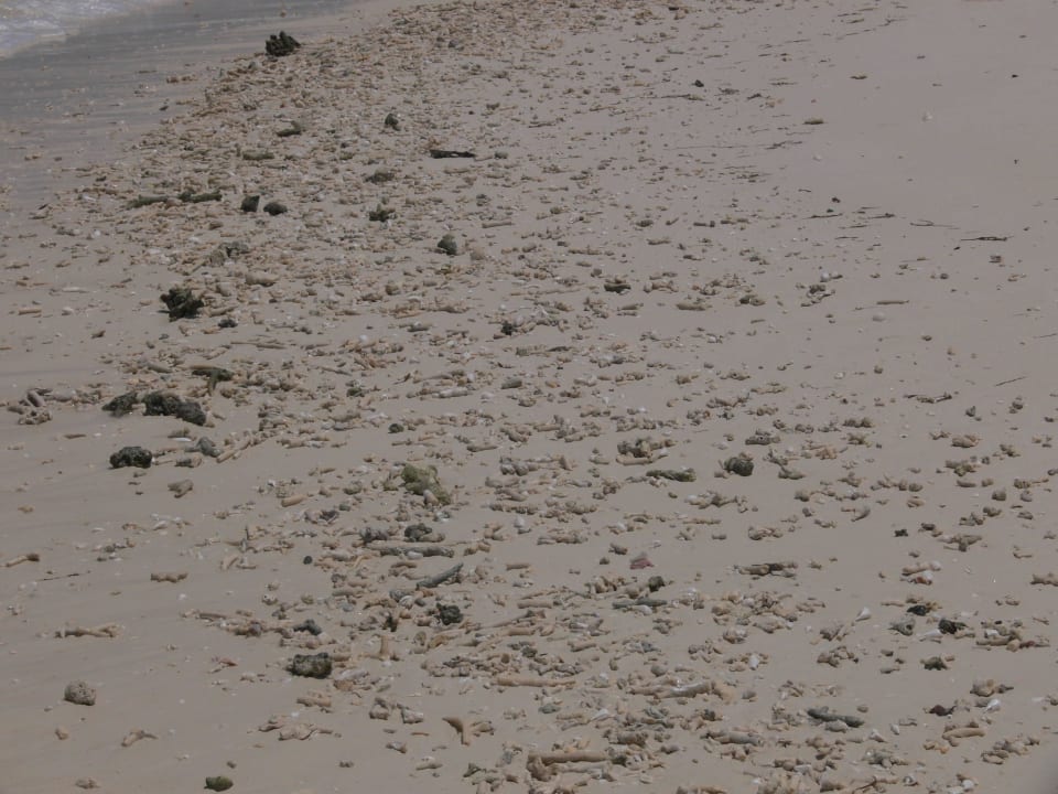 Korallenbruch Ostseite Kuredu Island Resort & Spa