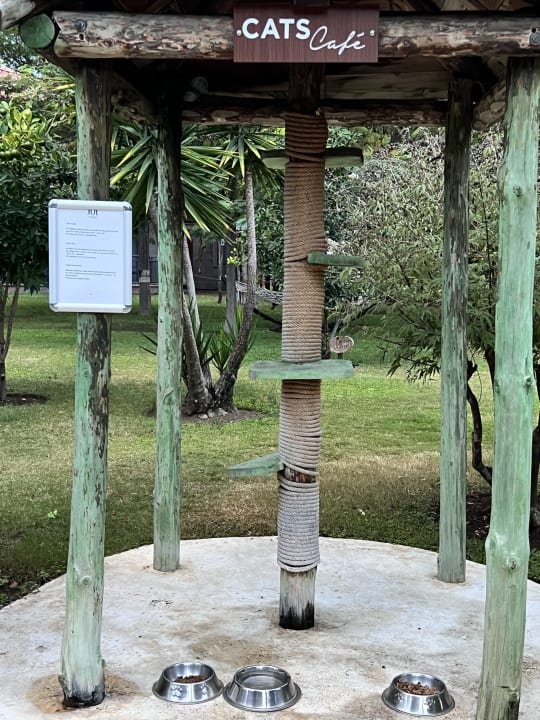 Gartenanlage TUI BLUE Palm Garden