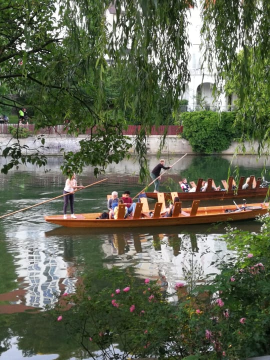 Ausblick Hotel Domizil