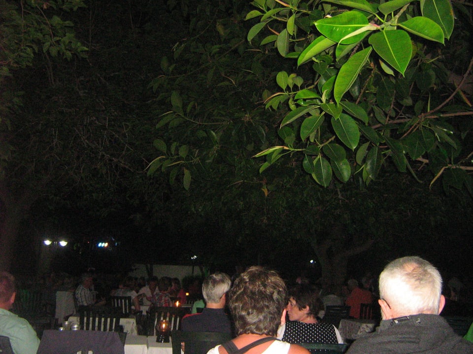 Strandbar Hotel Gardenia Beach