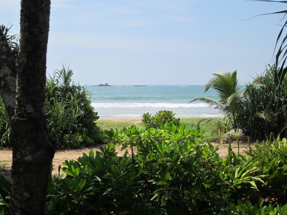 Ausblick von der Gartenanlage Thaala Bentota