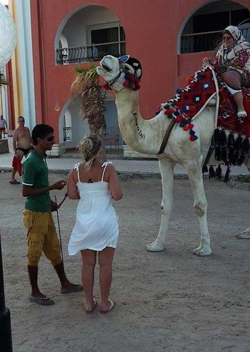 Romeo Arabia Azur Resort
