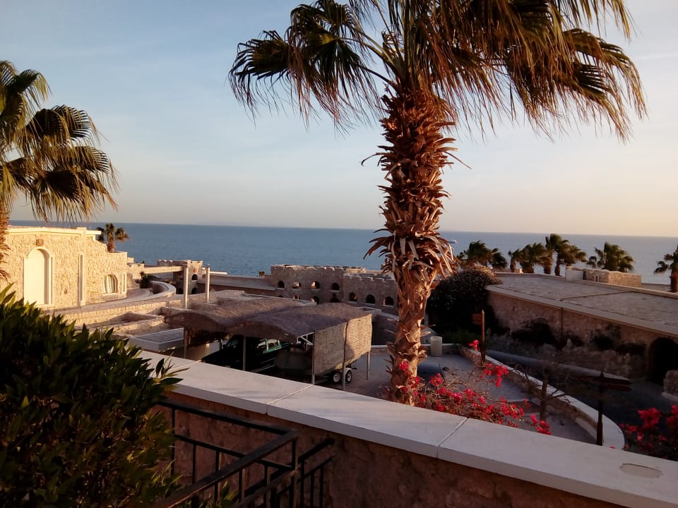 Zimmer Pickalbatros Citadel Resort