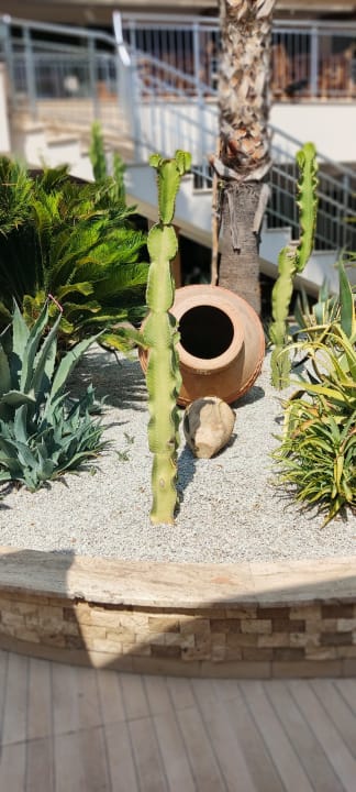 Gartenanlage Dizalya Palm Garden