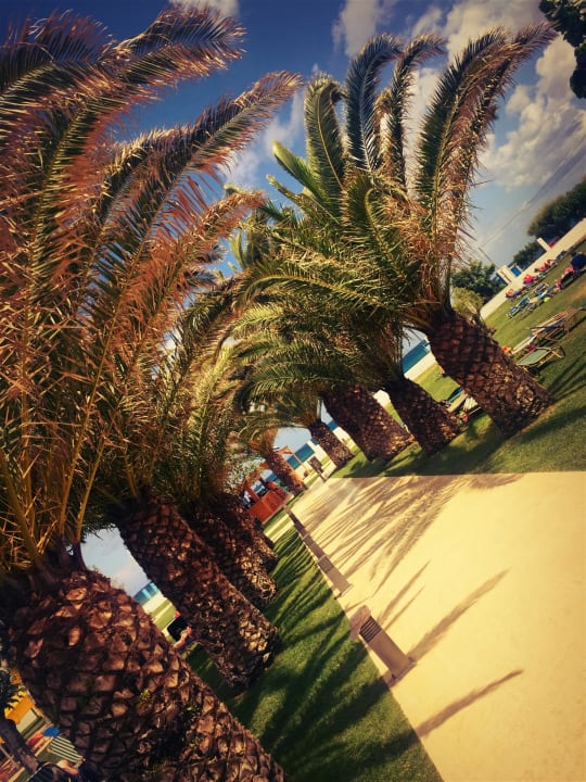 Weg zum Strand Mitsis Faliraki