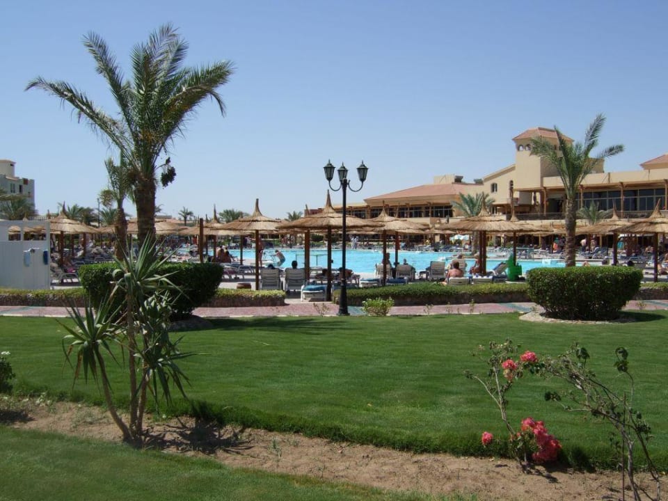 Aktionspool Pickalbatros Dana Beach Resort - Hurghada