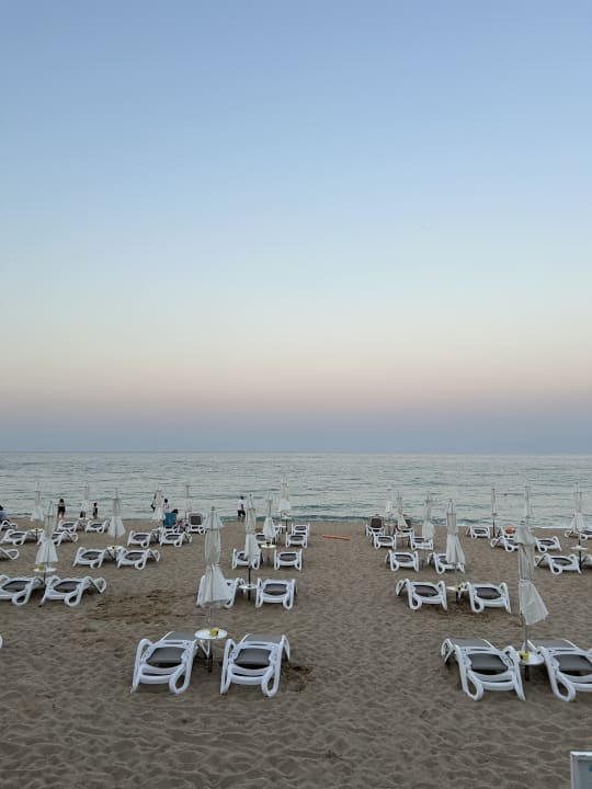 Strand Sentido Marea