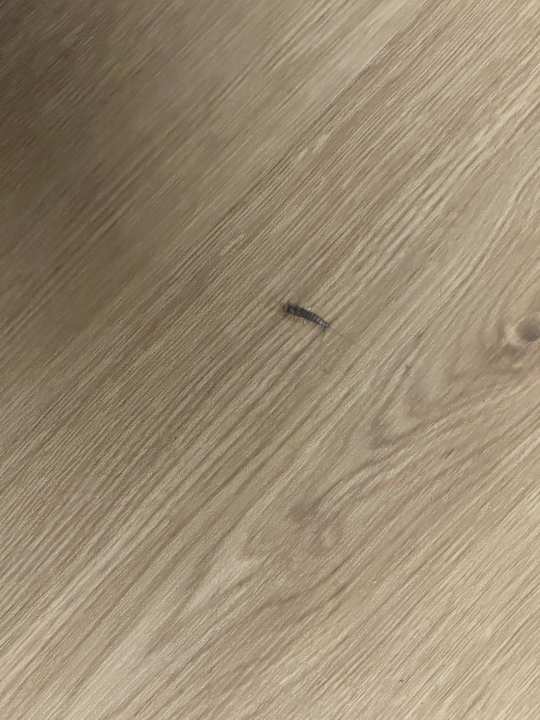 Zimmer Limehome Bodenmais Bahnhofstraße