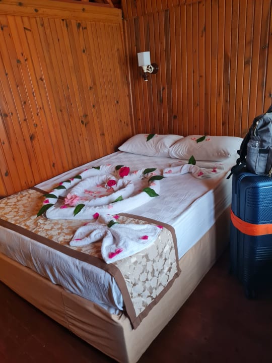 Zimmer Clover Magic Nova Beach