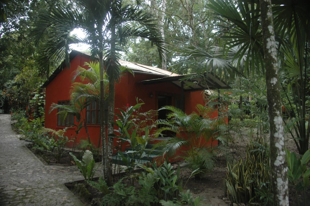 Bungalow Jungle Lodge Posada De La Selva