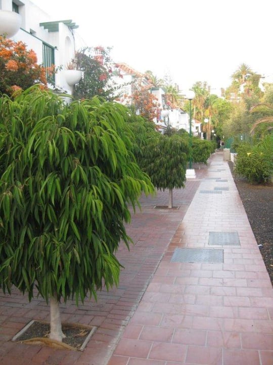 Einer der Wege um die Bungalows herum Bungalows Vistaflor