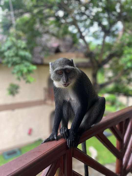 Sonstiges Neptune Village Beach Resort & Spa