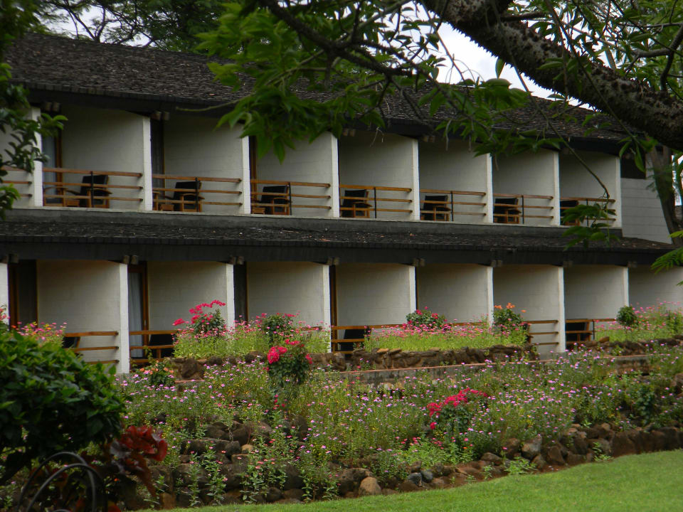 Standardzimmer Manyara Wildlife Safari Camp