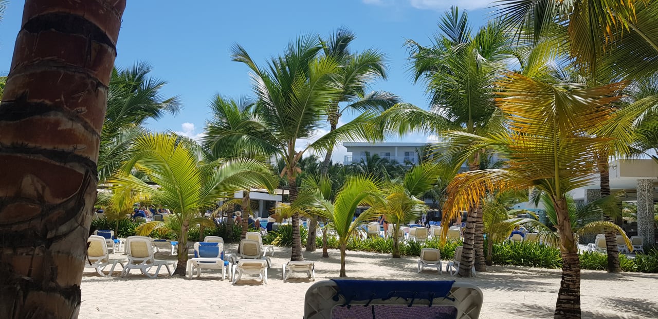 Gartenanlage Hotel Riu Republica - Adults only