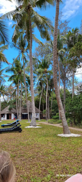 Gartenanlage Hotel Diani Sea Lodge