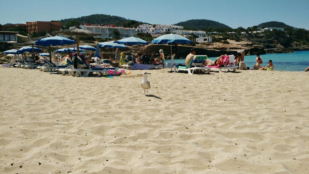 Strand Hotel Vibra Cala Tarida