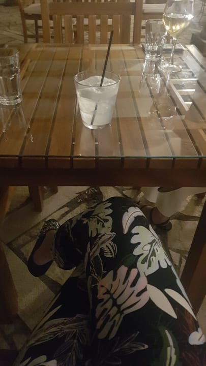 Gastro Mitsis Galini