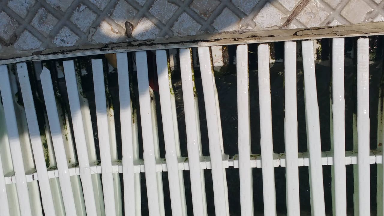 Pool Park Hotel Golden Beach