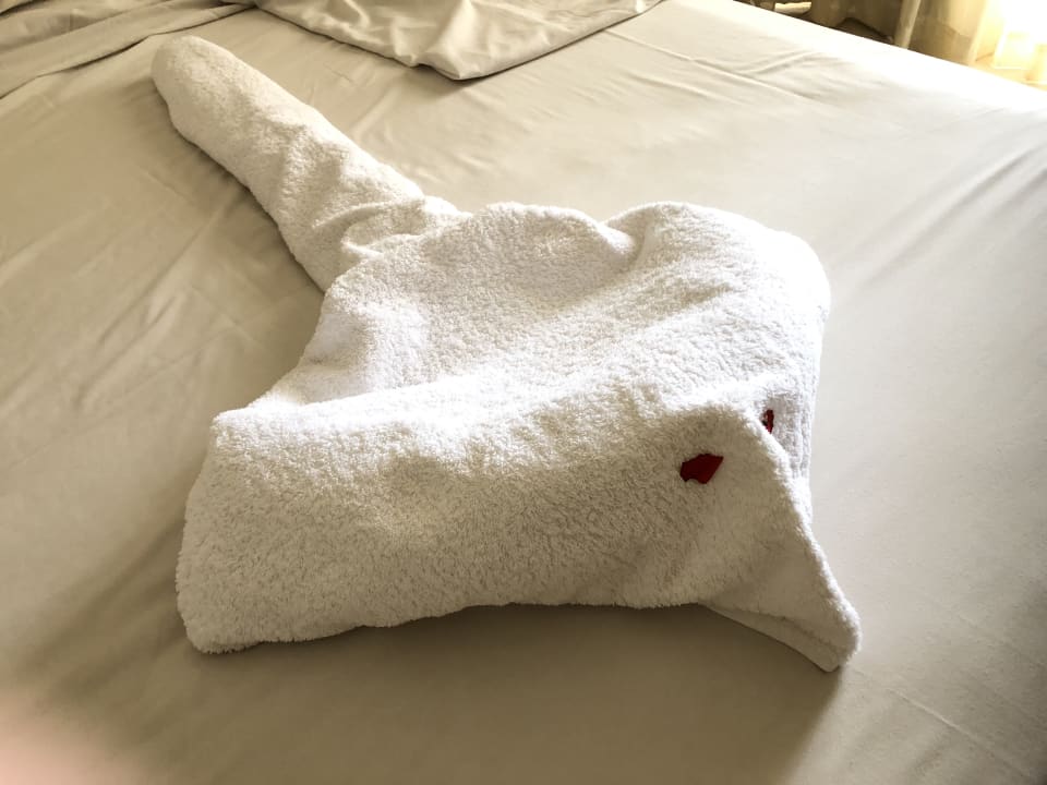 Zimmer Shams Alam Beach Resort