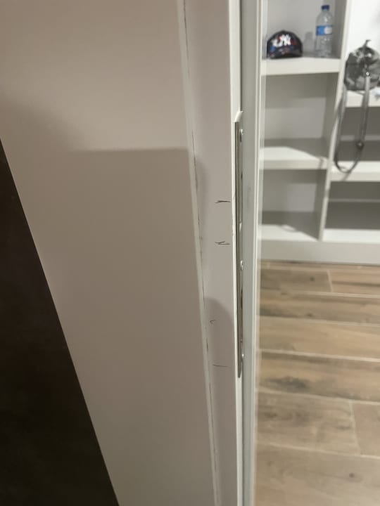 Zimmer Dream Water World