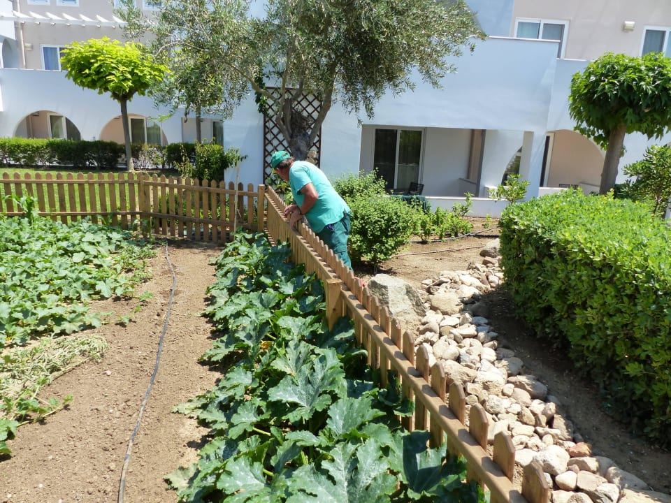 Kleiner Nutzgarten Atlantica Marmari Palace