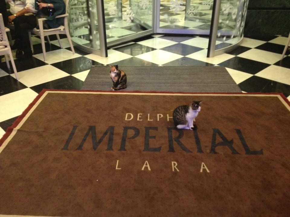 Eingang Hotel Delphin Imperial