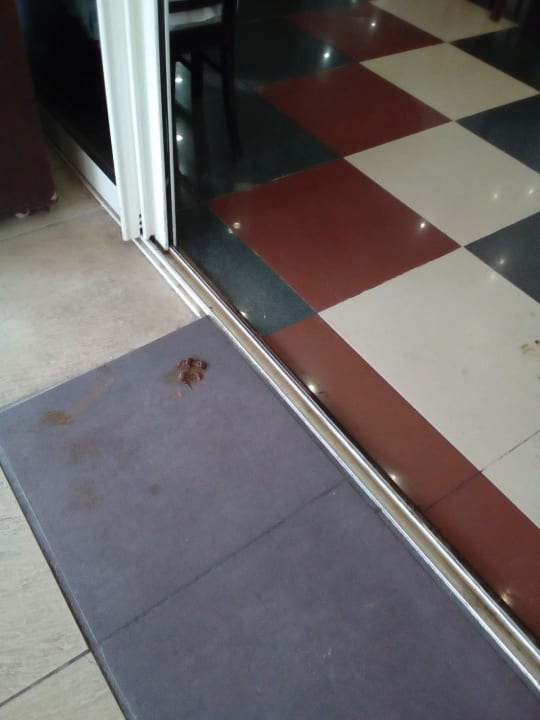 Gastro Hotel Orfeus Park