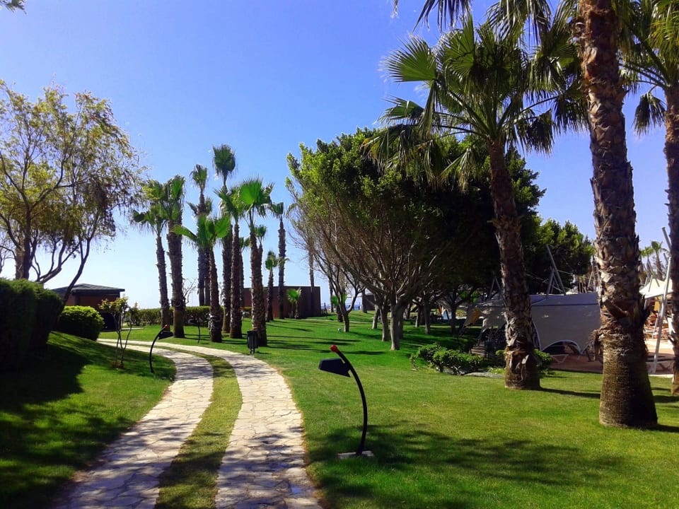 Территория Viking Park