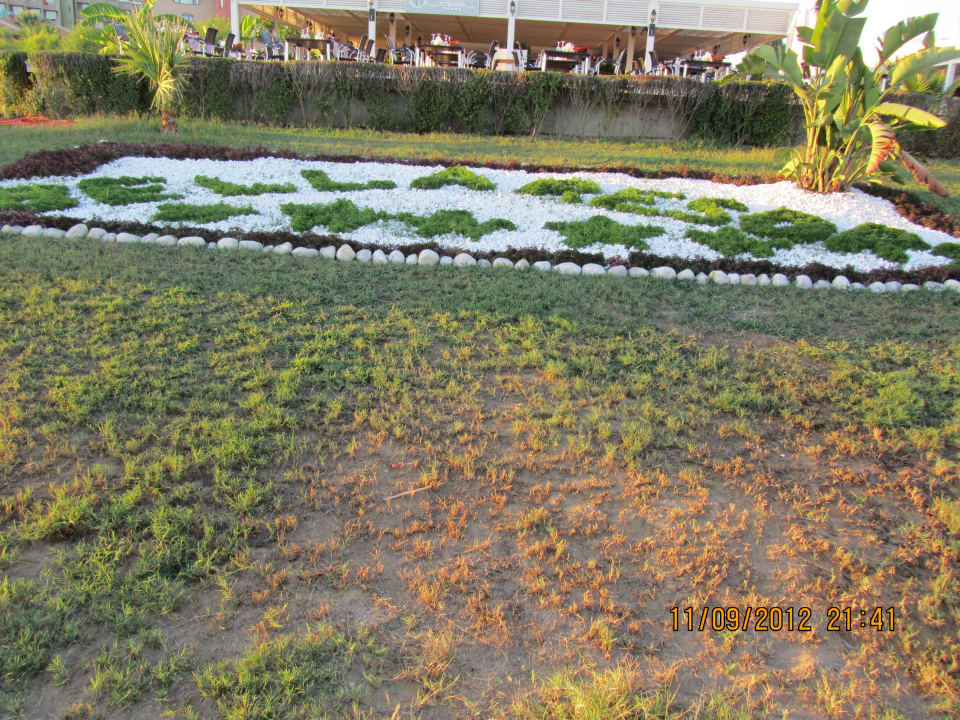 Цветочная клумба Bella Resort & Spa