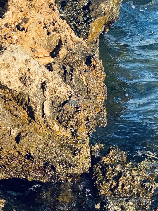 Strand Pickalbatros Citadel Resort