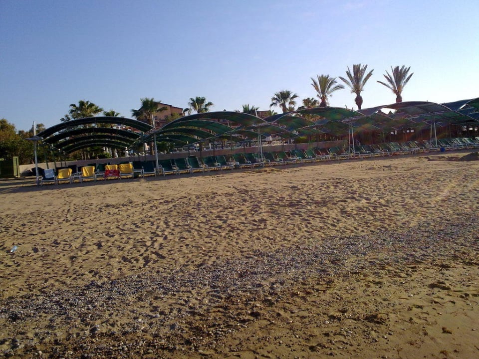 Strand am Morgen Papillon Belvil