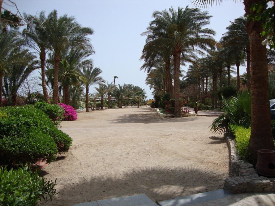 Weg zum Strand Giftun Azur Resort