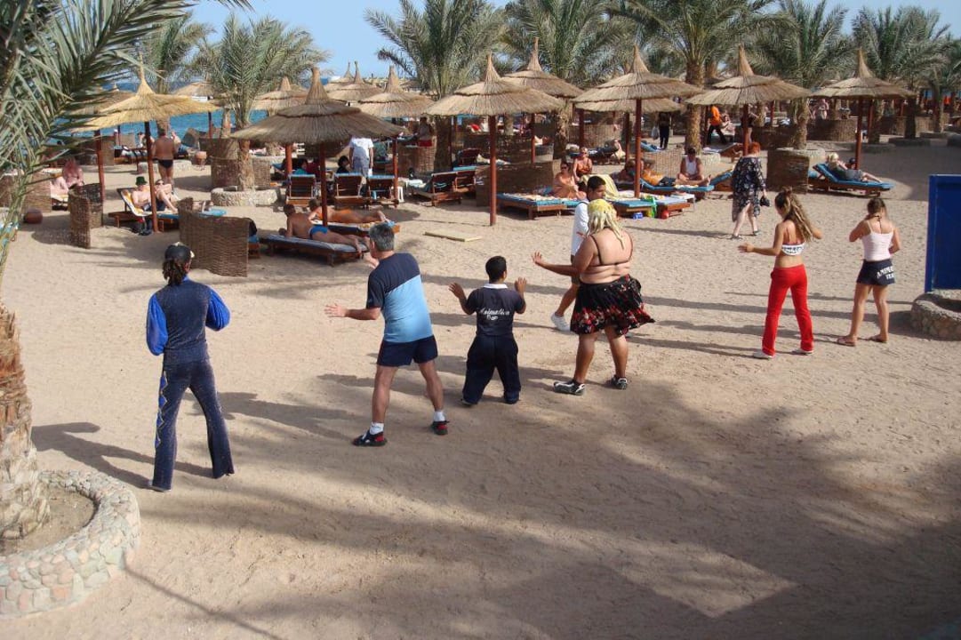 Hotel Beach Albatros Beach Albatros Resort