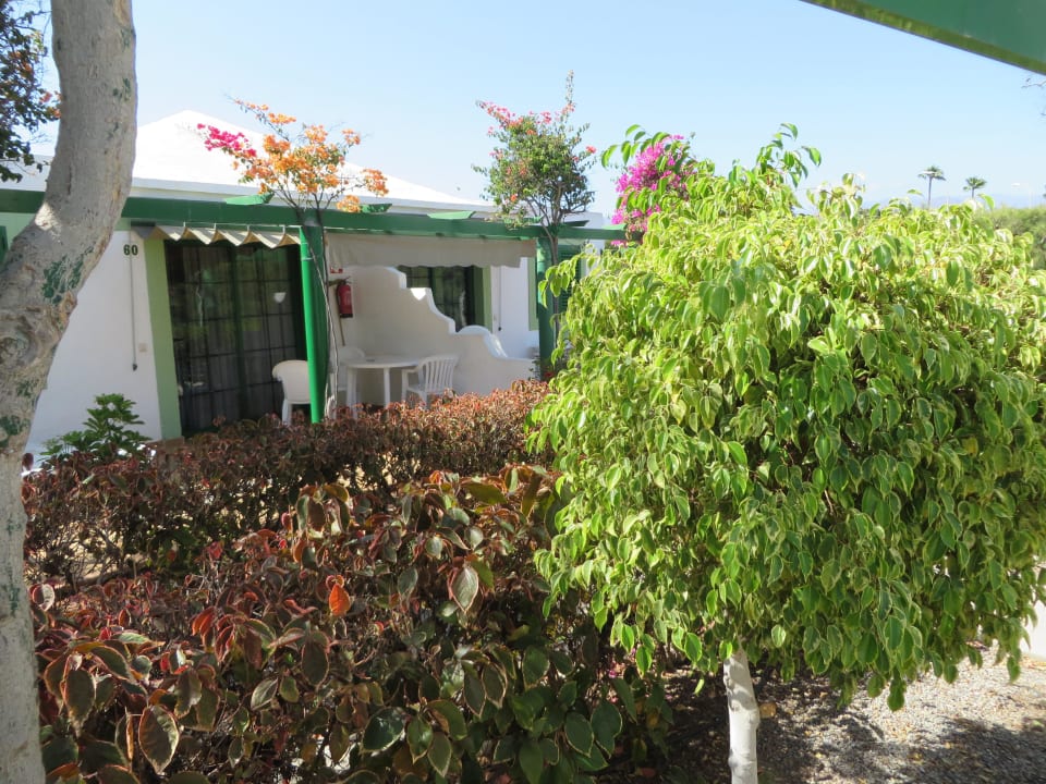 Grün vor dem Bungalow Bungalows Cordial Sandy Golf