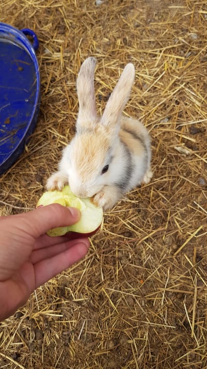 Außenansicht Winzer-Bauernhof Felbinger
