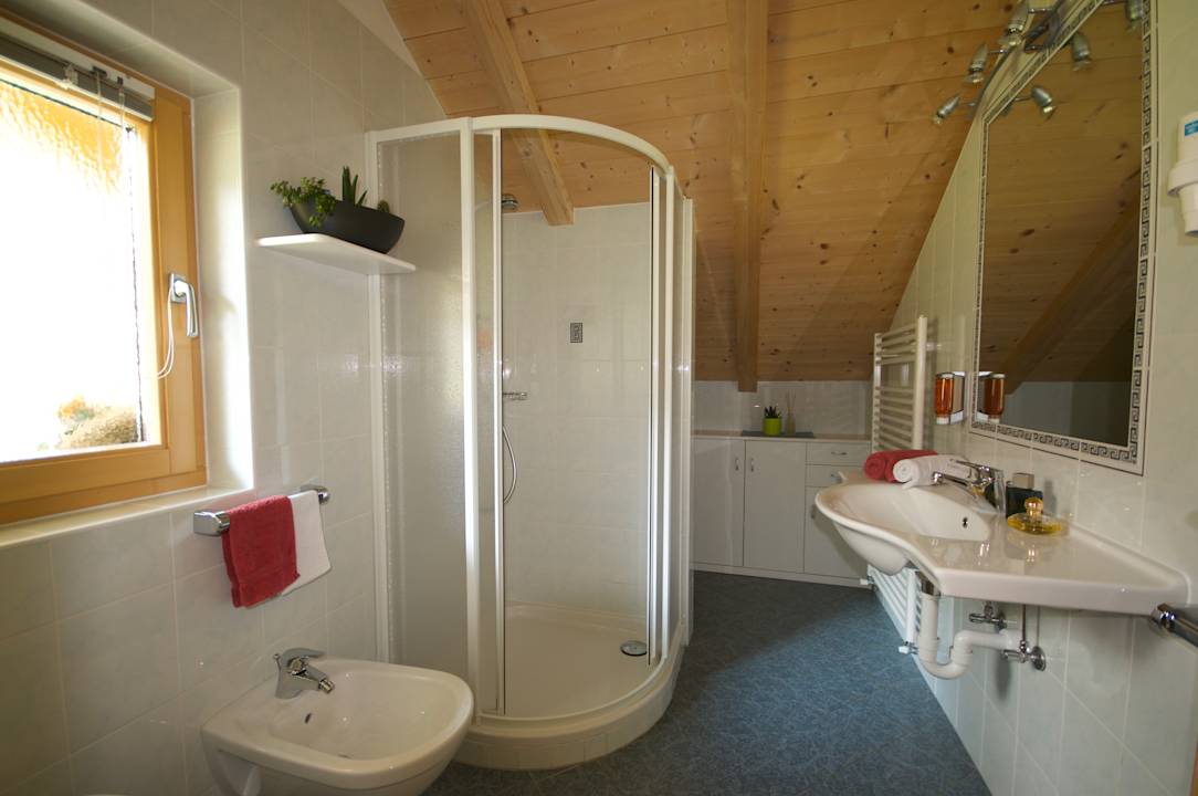 Zimmer Apartments Dolina