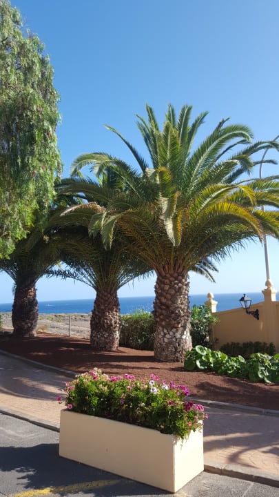 Gartenanlage Bahia Principe Sunlight Costa Adeje