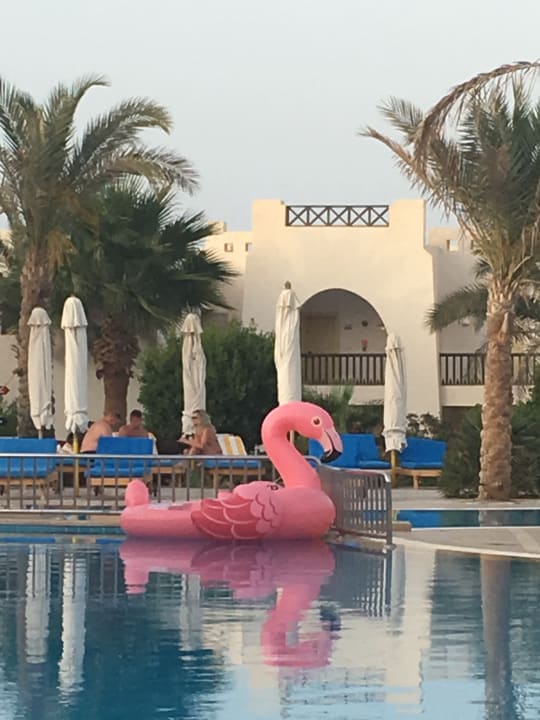 Pool Hilton Marsa Alam Nubian Resort