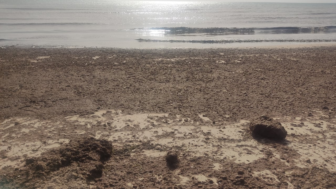 Strand Djerba Castille