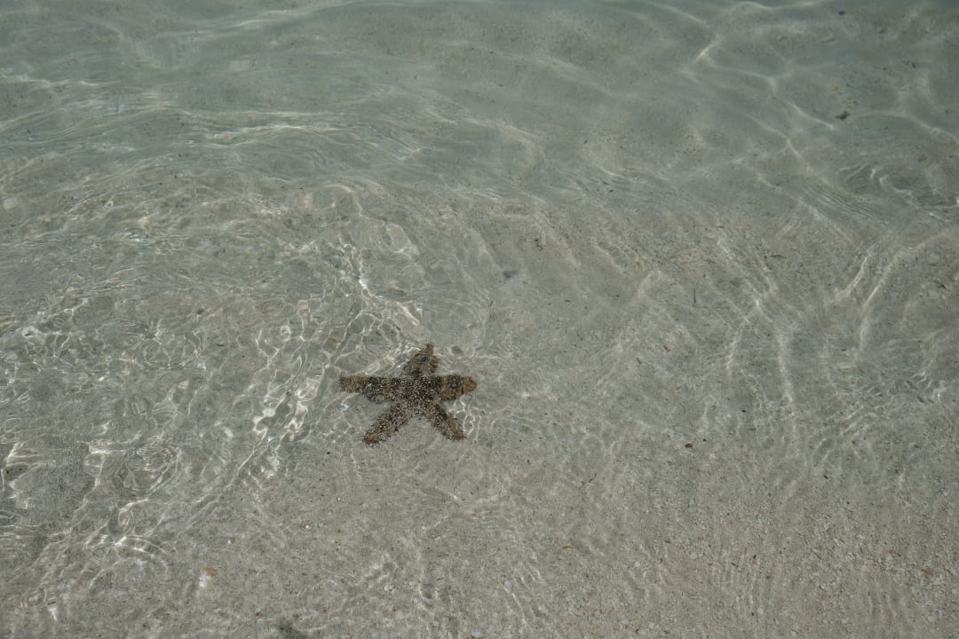 Strand NH Collection Maldives Havodda Resort