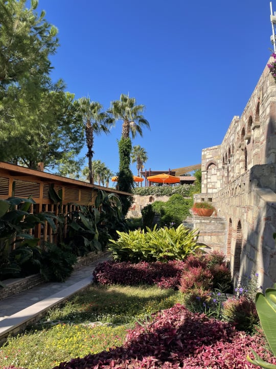 Gartenanlage Arum Barut Collection