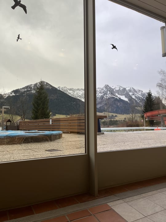 Ausblick Hotel Bellevue am See