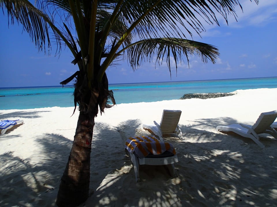 Vor Bungi 215 Summer Island Maldives