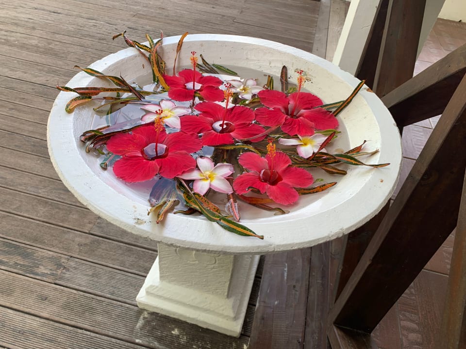 Sonstiges Guesthouse The Beach House